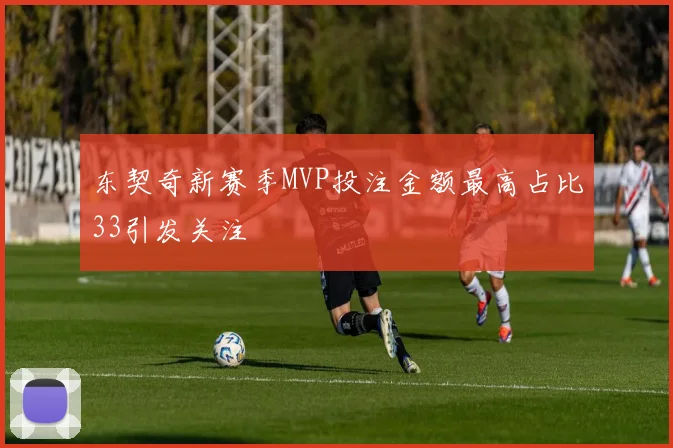 东契奇新赛季MVP投注金额最高占比33引发关注