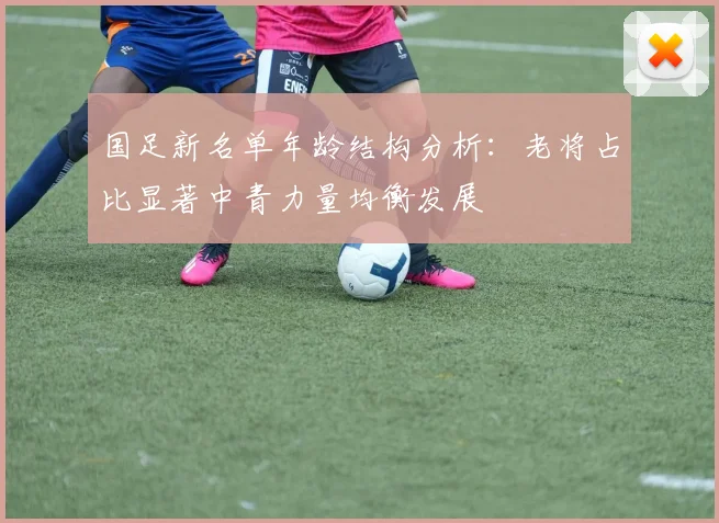 国足新名单年龄结构分析：老将占比显著中青力量均衡发展