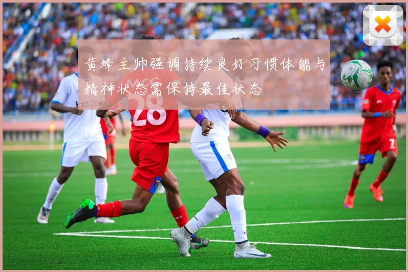 黄蜂主帅强调持续良好习惯体能与精神状态需保持最佳状态