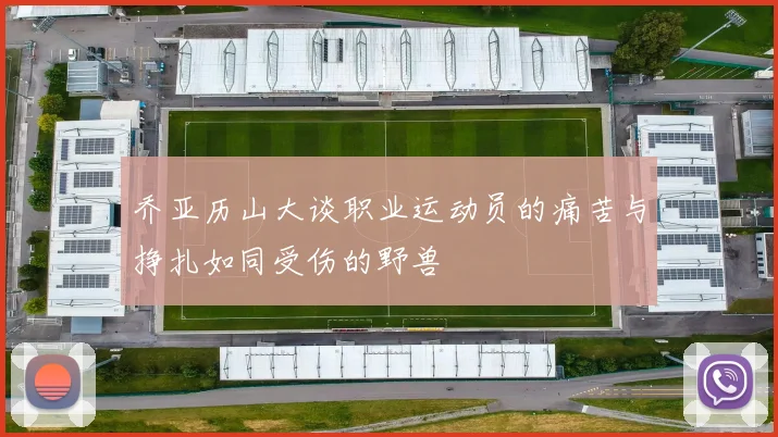 乔亚历山大谈职业运动员的痛苦与挣扎如同受伤的野兽