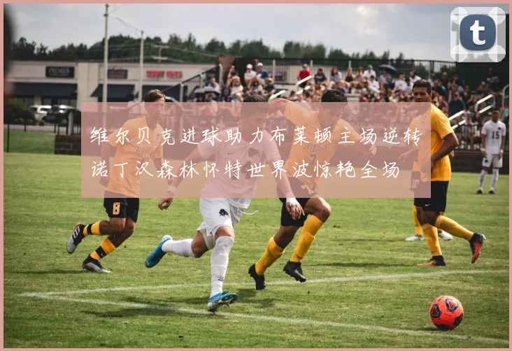 维尔贝克进球助力布莱顿主场逆转诺丁汉森林怀特世界波惊艳全场